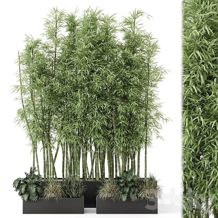 Indoor Plants Bamboo Set in rusty Concrete Pots Set 1894