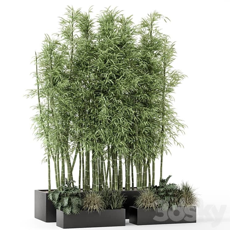 Indoor Plants Bamboo Set in rusty Concrete Pots Set 1894