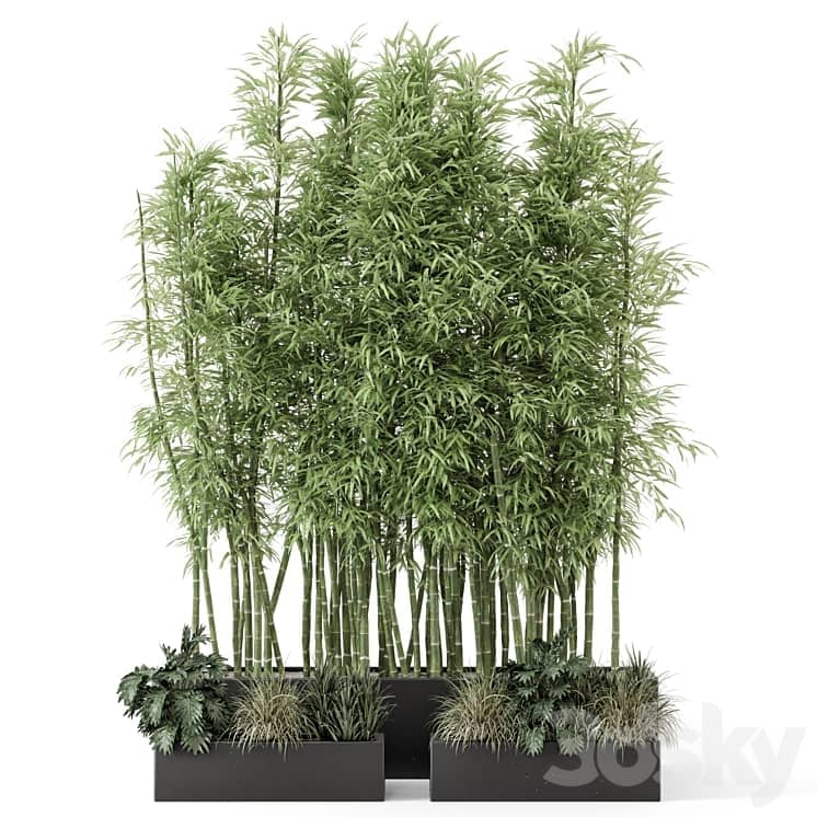 Indoor Plants Bamboo Set in rusty Concrete Pots Set 1894