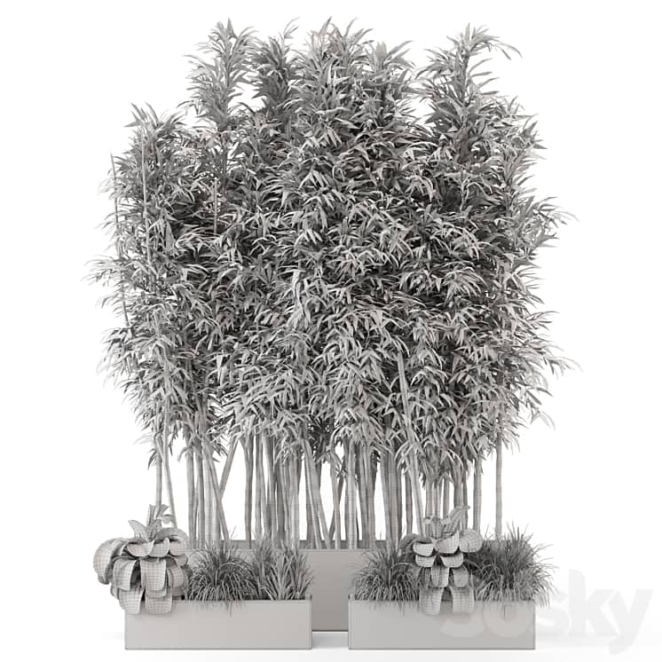 Indoor Plants Bamboo Set in rusty Concrete Pots Set 1894