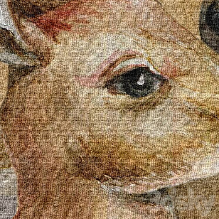 Wallpapers/Cute deer/Designer wallpaper/Panel/Photo wallpaper/Fresco