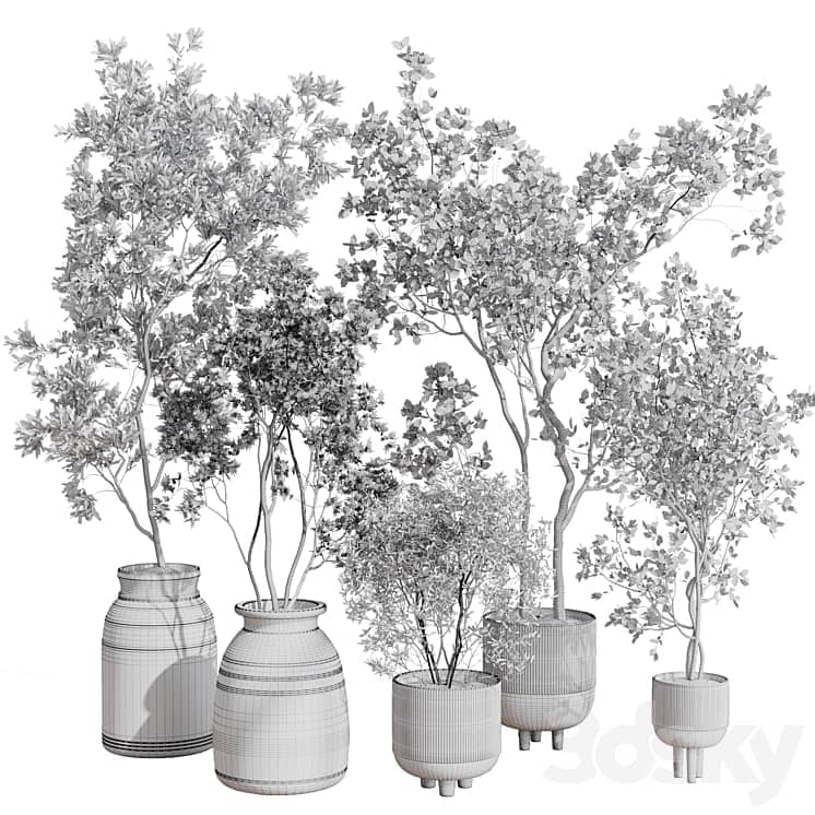 collection indoor plant 456 wooden old and concrete vase