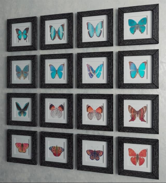 Set quot Butterfly quot 