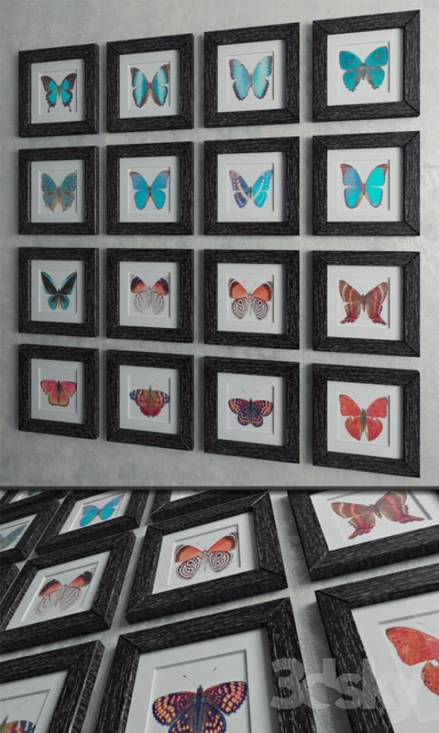 Set quot Butterfly quot 