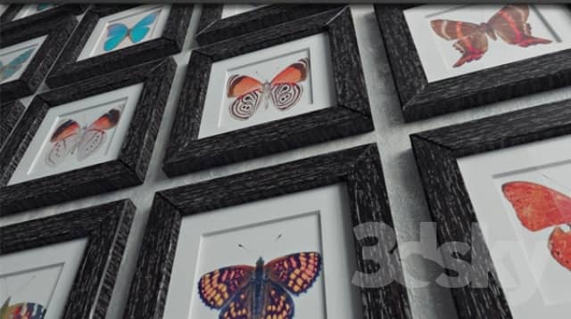 Set quot Butterfly quot 