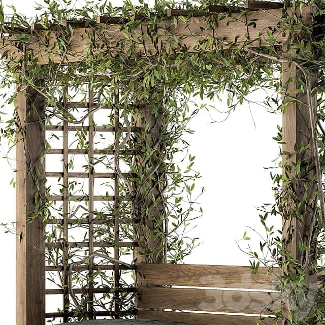 Other Ivy Plants on Pergola with Bench Set 05