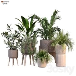 plant in vase collection set 214 3D Models 3DSKY 