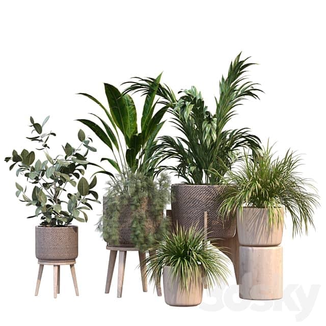 plant in vase collection set 214 3D Models 3DSKY