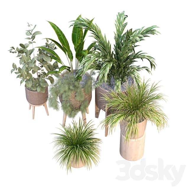 plant in vase collection set 214 3D Models 3DSKY