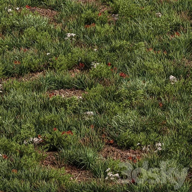 Spring Grass Set 07 3D Models