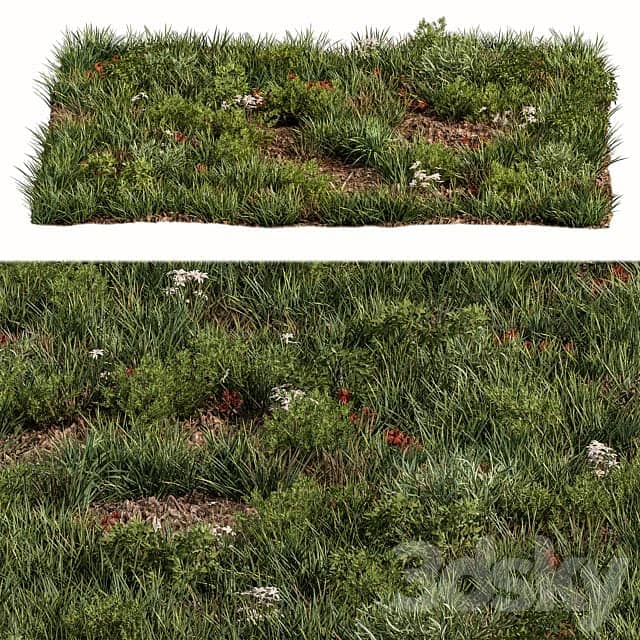 Spring Grass Set 07 3D Models