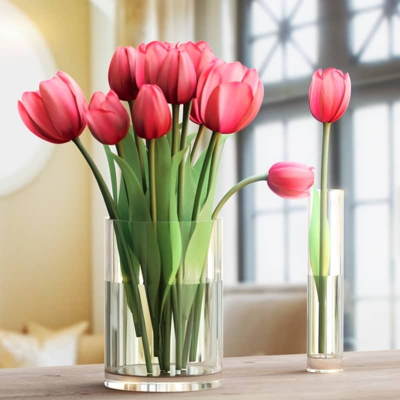 still life flowers light