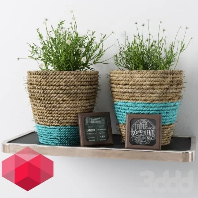 Plants Shelf Decor