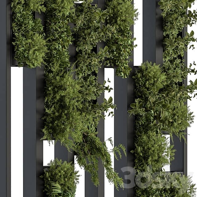 Green Wall Plants partition 04 Fitowall 3D Models