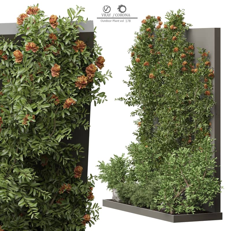 outdoor plant vol 178