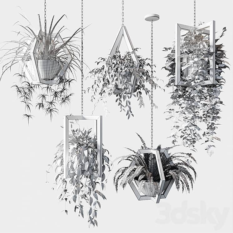 Ampelous plants in wooden figured hanging pots