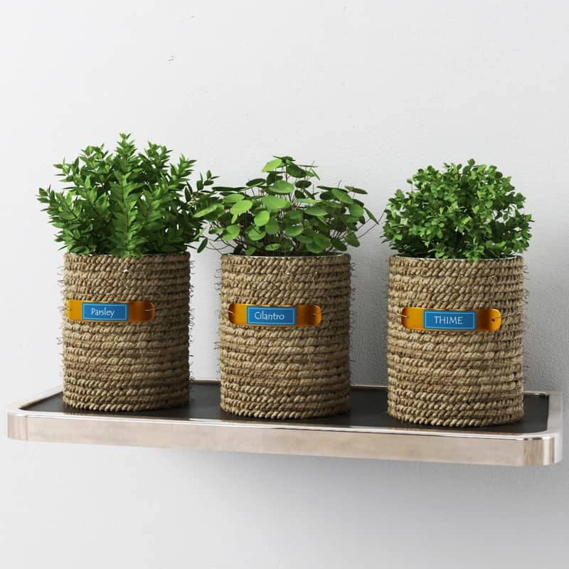 kitchen herbs display