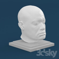 Sculpture - Statue head 2 