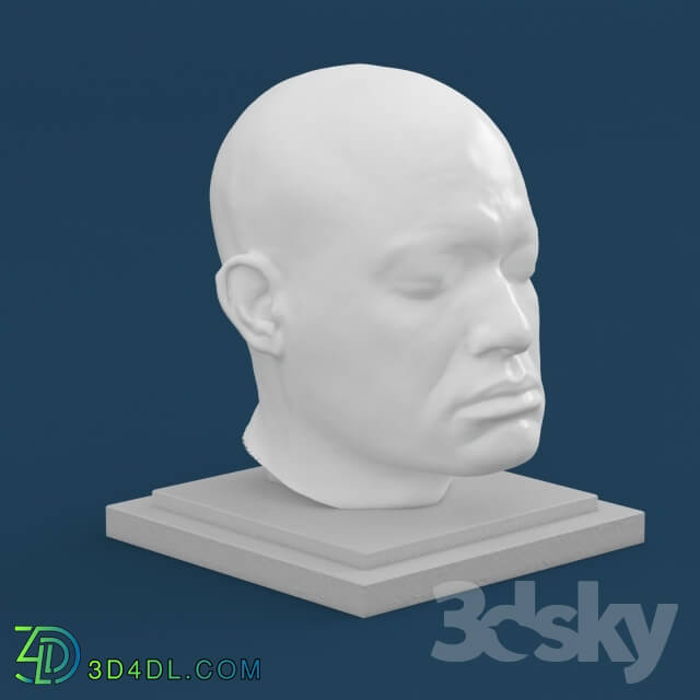 Sculpture - Statue head 2