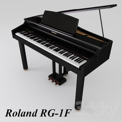 Musical instrument - Digital mini piano Roland RG-1F 