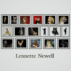 Frame - Lennette Newell - Enimals 