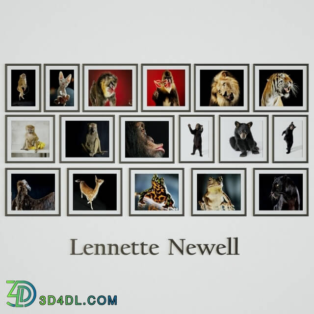 Frame - Lennette Newell - Enimals