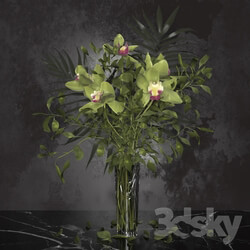 Plant - Orchid bouquet _ Bohemia Labyrinth Vase 
