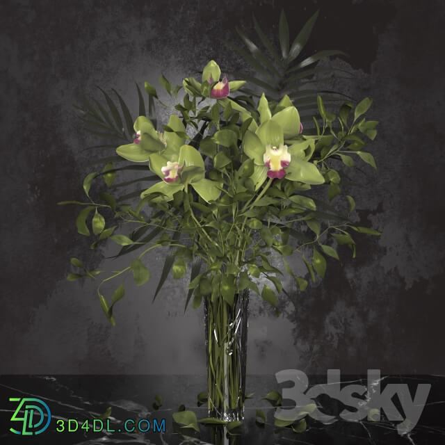 Plant - Orchid bouquet _ Bohemia Labyrinth Vase