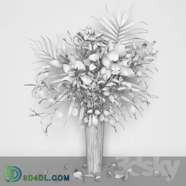 Plant - Orchid bouquet _ Bohemia Labyrinth Vase