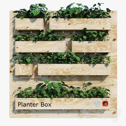 Plant - Planter box three 