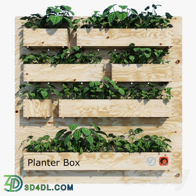 Plant - Planter box three