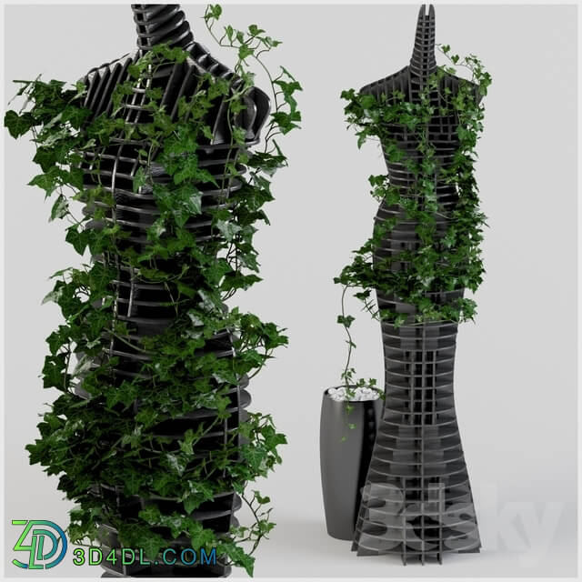 Plant - Ivy and mannequin