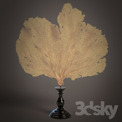 Other decorative objects - Coral 