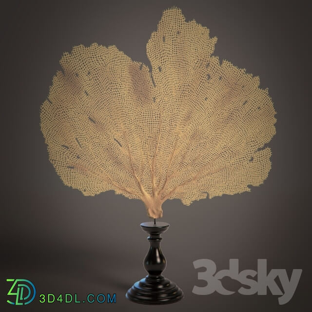 Other decorative objects - Coral