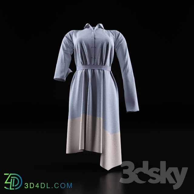 Clothes and shoes - Female clothes dress