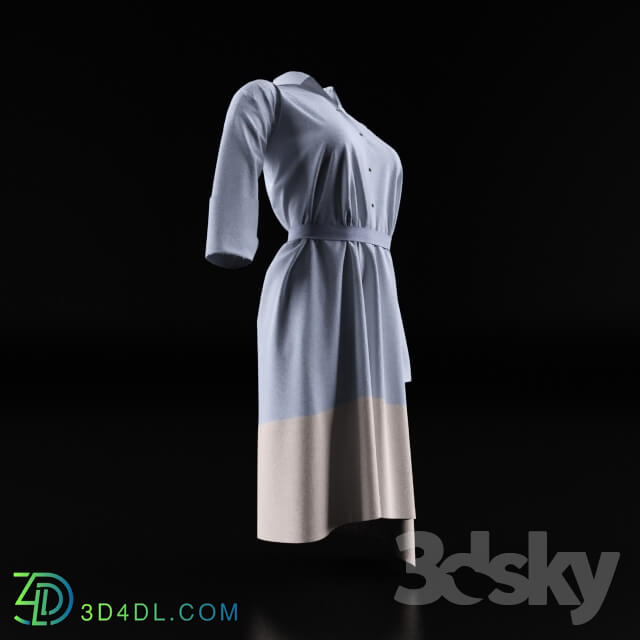 Clothes and shoes - Female clothes dress