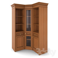 Wardrobe _ Display cabinets - Corner bookcase. Alexander Tischler. 