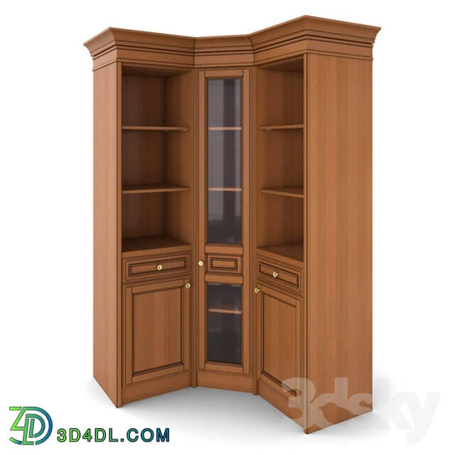 Wardrobe _ Display cabinets - Corner bookcase. Alexander Tischler.