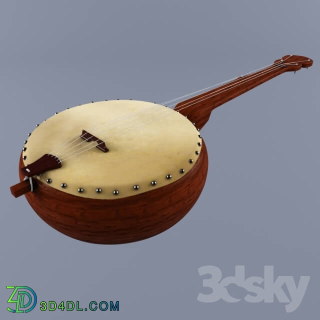 Musical instrument - Banjo