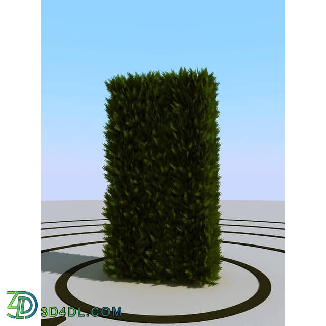 3dMentor HQPlants-02 (064) thuja hedge