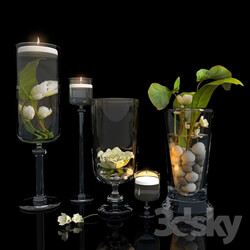 Plant - Plants in glass vases 