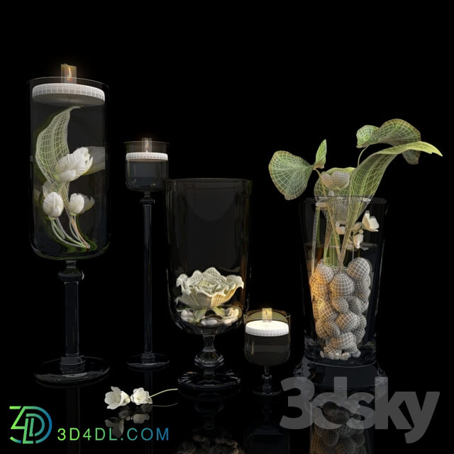 Plant - Plants in glass vases