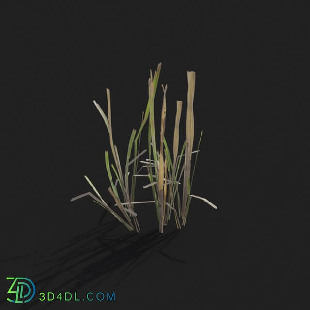 Maxtree-Plants Vol21 Dry grass 01 01