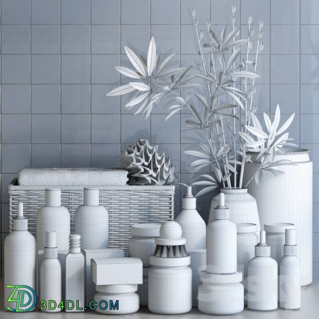 Bathroom accessories - A set of cosmetics for the bathroom
