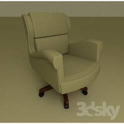 Arm chair - Armchair 