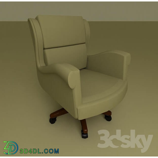 Arm chair - Armchair