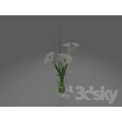Plant - vase with flowers 