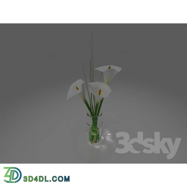 Plant - vase with flowers