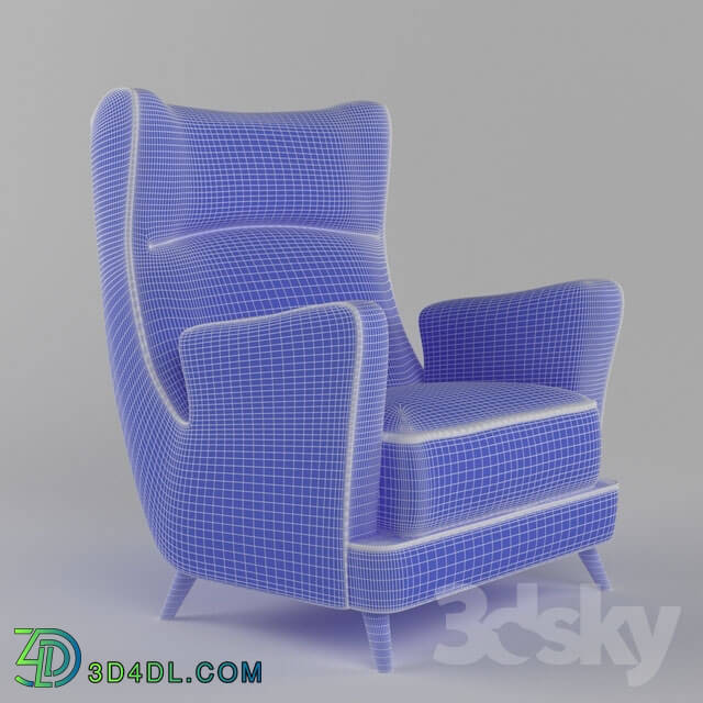 Arm chair - Armchair _Tren_ Designed by Manuel Barbero_ 1953