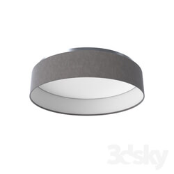 Ceiling light - 31593 LED ceiling lamp PASTERI 